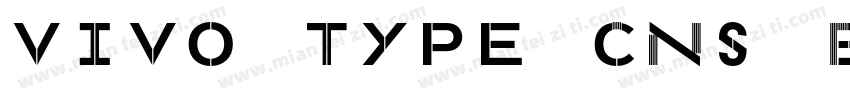vivo type CNs Bold GB字体转换